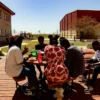 Fraudes étudiantes : l’Estrie aussi touchée par un vaste réseau visant de jeunes Africains