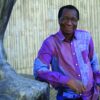 Ibrahima Diallo, Ambassadeur de la Francophonie à la Vice-Présidence de la FCFA