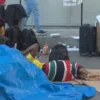 Gestion de la crise des refuges à Toronto : des solutions inclusives pour loger les réfugiés en banlieue