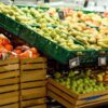 Calgary en quête de résilience alimentaire : un plan novateur pour répondre aux crises multiples.