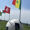 La Coupe d&rsquo;Afrique des Nations de Saguenay : un festin de sport et de culture